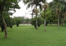 Environment beats Urbanization