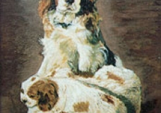 King Charles Spaniel and Puppies