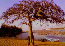 Alone