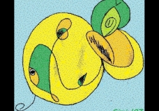 Kangaroo Fish
