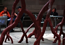 giant roots