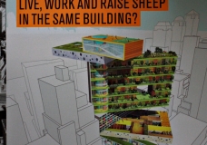 live, work and raise sheep