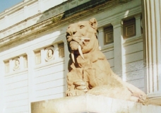 Detalle del Museo de Ciencias Naturales de La Plata