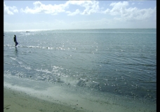 Sea
