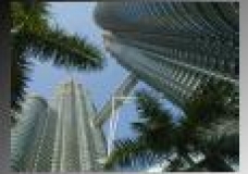 From Grass Root to the Top