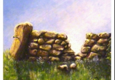 Stain Dyke