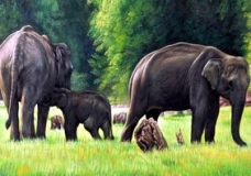 Elephants on life