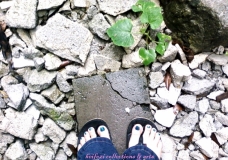 Life is beautiful ~ A choice