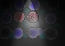 Circles of Life