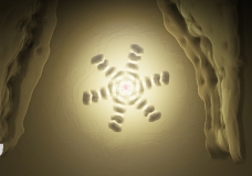 Stone Snowflake