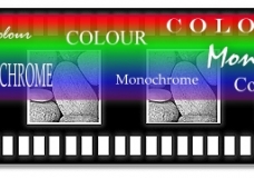 MONOCHROME RAINBOW
