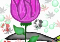 Let Blossoms Bloom