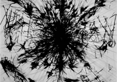 untitled 1