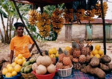 Haiti et esp
