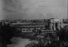 Alexandria Staduim