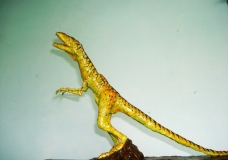 Rapter Carni