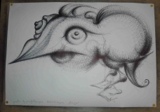 bird