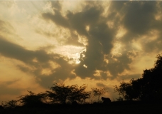 Monsoon