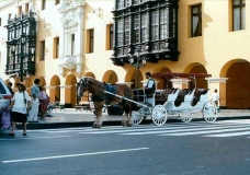 A Corner of Lima
