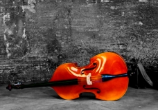 Double Bass