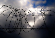 Barbed Wire at Noon