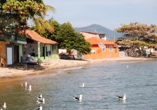 Azul e tijolo