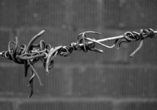 Nature as Barrier