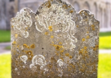 Gravestone with Lichen