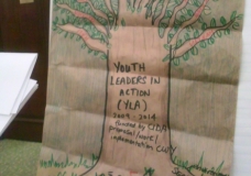Youth Leaders In Action - Structure Tree
