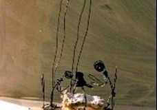 Cotton Thread 2