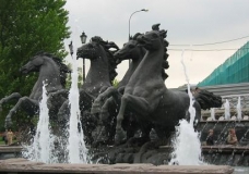 Hold Your Horses!