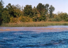 Uno de los afluentes del Delta en Tigre