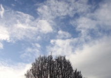 Frost