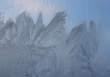 Winter patterns