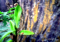A part of it is another life...