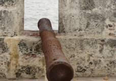 Cannon