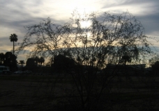 Dim Sun
