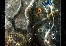 Spirit of Forest - Encounter