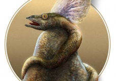 Portrait Of Vesquar