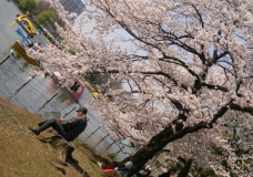 japan: yokohama