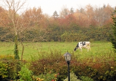 ireland