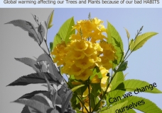 Save our Planet