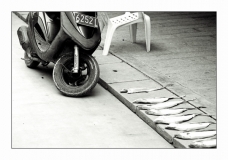 Drying Fish