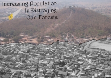 More Population Create More Problems