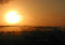 rainforest sunset