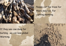 Use Cow Dung!!