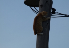 what goes up must come down