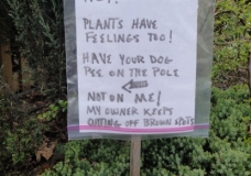 Plants Have Feelings Too