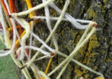 Yarn Tree