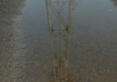 Industry Marks Appear Everywhere